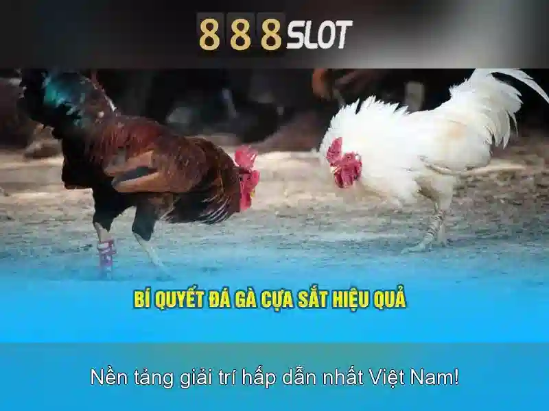 xác thực tài khoản